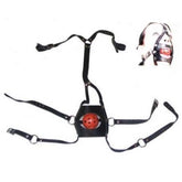 Ball Gag Head Harness Bondage Gags and Bits